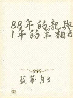 88年的龙与91年的羊相配吗