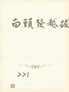 白头发越拔越长封面