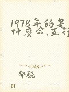 1978年的是什么命,五行属性是什么