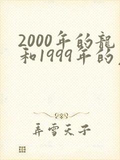 2000年的龙和1999年的兔合婚吗封面