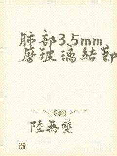 肺部3.5mm磨玻璃结节