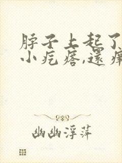 脖子上起了好多小疙瘩,还痒痒,是怎么回事封面