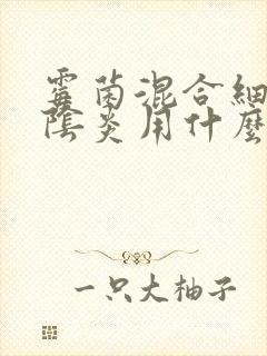 霉菌混合细菌性阴炎用什么药效果好