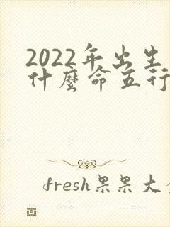 2022年出生什么命五行属性