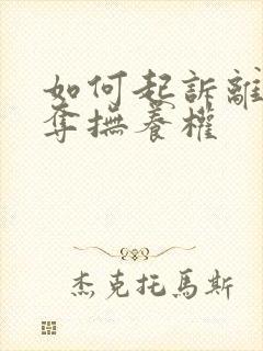 如何起诉离婚争夺抚养权