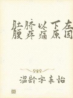 肚脐以下左侧小腹疼痛原因