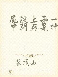 屁股上面一点腰中间疼是什么原因封面