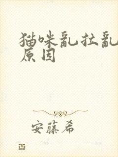 猫咪乱拉乱尿的原因