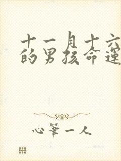 十一月十六出生的男孩命运