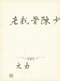 老戏骨陈少华封面