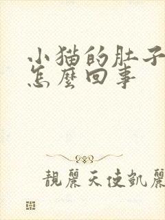 小猫的肚子大是怎么回事