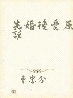 先婚后爱原著小说