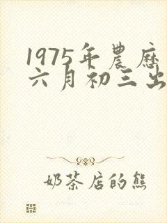 1975年农历六月初三出生的男孩命运封面