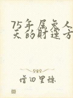 75年属兔人今天的财运方向
