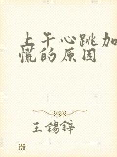 上午心跳加速心慌的原因封面