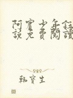 阿宾少年钰慧小说免费阅读笔趣阁