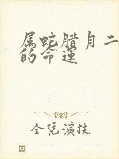 属蛇腊月二十七的命运封面