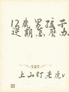 12岁男孩子叛逆期怎么办封面