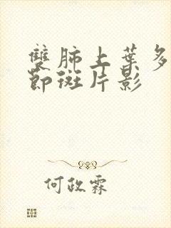 双肺上叶多发结节斑片影封面