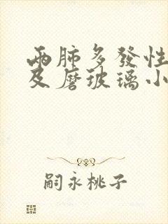 两肺多发性实性及磨玻璃小结节