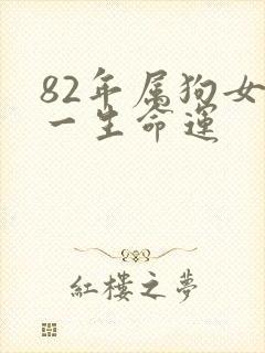 82年属狗女性一生命运封面
