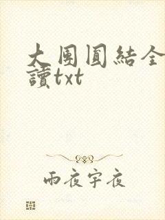 大团圆结全文阅读txt