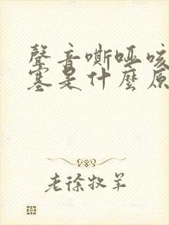 声音嘶哑咳嗽鼻塞是什么原因