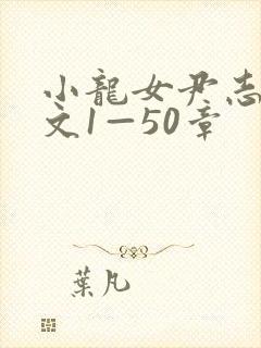 小龙女尹志平h文1—50章