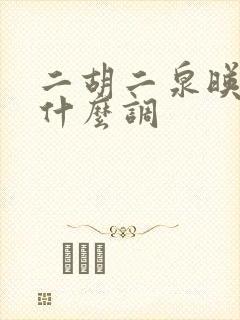 二胡二泉映月是什么调