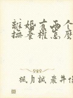 离婚有两个小孩抚养权怎么判定