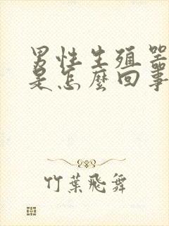 男性生殖器异味是怎么回事