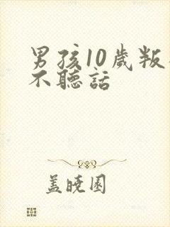 男孩10岁叛逆不听话