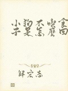 小狗不吃食吐沫子是怎么回事