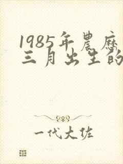 1985年农历三月出生的命运