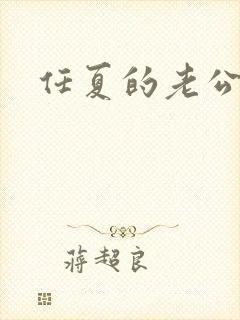 任夏的老公是谁