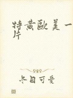 特黄欧美一级大片