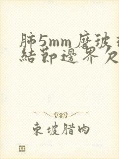 肺5mm磨玻璃结节边界欠清封面