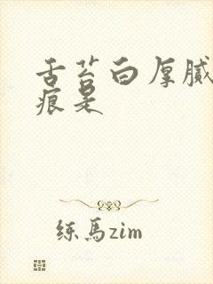 舌苔白厚腻有齿痕是