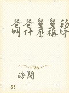 爸爸舅舅的女儿叫什么称呼