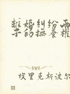 离婚纠纷两个孩子的抚养权如何确定判决