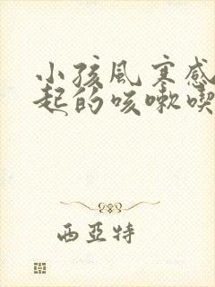 小孩风寒感冒引起的咳嗽吃什么药封面