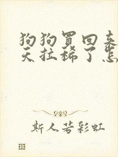 狗狗买回来第二天拉稀了怎么办