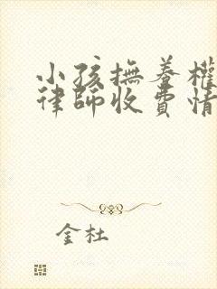 小孩抚养权官司律师收费情况封面