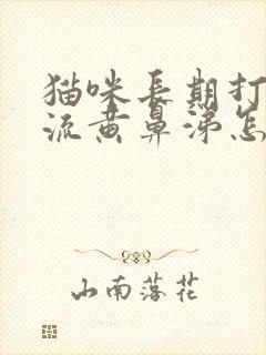 猫咪长期打喷嚏流黄鼻涕怎么办封面