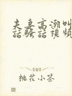 夫妻高潮叫床情话骚话视频aaaa