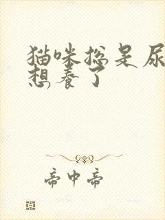 猫咪总是尿闭不想养了