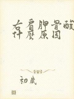 右肩胛骨酸胀是什么原因