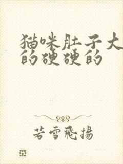 猫咪肚子大鼓鼓的硬硬的