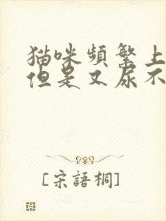 猫咪频繁上厕所但是又尿不出来