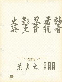 火影忍者动漫全集免费观看